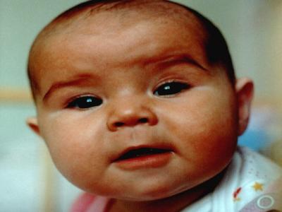 Nasze oczko w głowie!<a href="profile.php?lookup=1"> - piotr</a><br/>
		         Komentarzy: 3
 Obejrzano:  42466 Ocena: <img src="images/star.gif" alt="*" style="vertical-align:middle"/><img src="images/star.gif" alt="*" style="vertical-align:middle"/><img src="images/star.gif" alt="*" style="vertical-align:middle"/><img src="images/star.gif" alt="*" style="vertical-align:middle"/><img src="images/star.gif" alt="*" style="vertical-align:middle"/>
