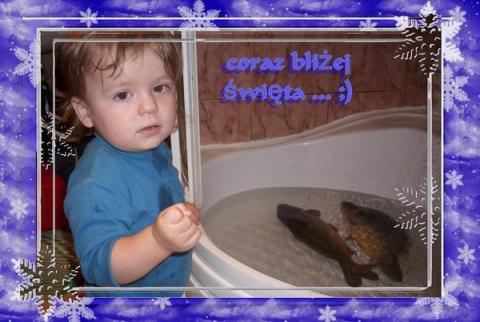 złapałem karpie!<a href="profile.php?lookup=352"> - senepa</a><br/>
		         Komentarzy: 0
 Obejrzano:  18556 Ocena: Brak
